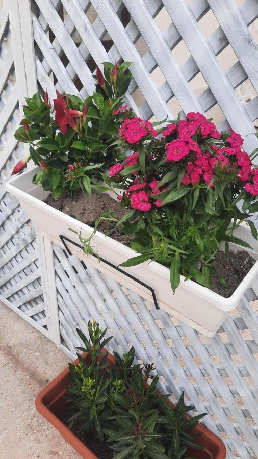 فندق Casacecilia Relax سيراكوزا المظهر الخارجي الصورة