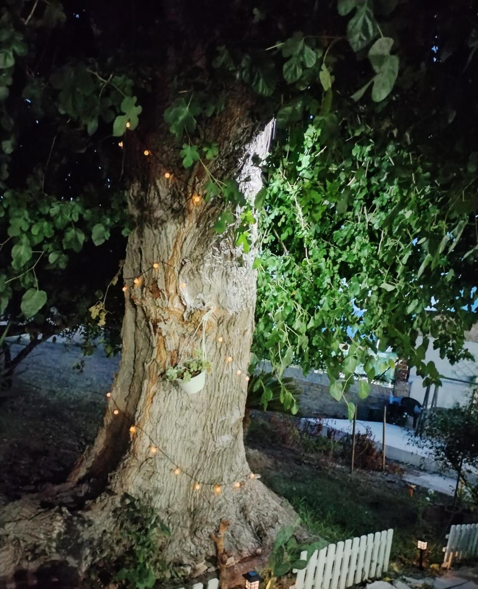 فندق Casacecilia Relax سيراكوزا الغرفة الصورة
